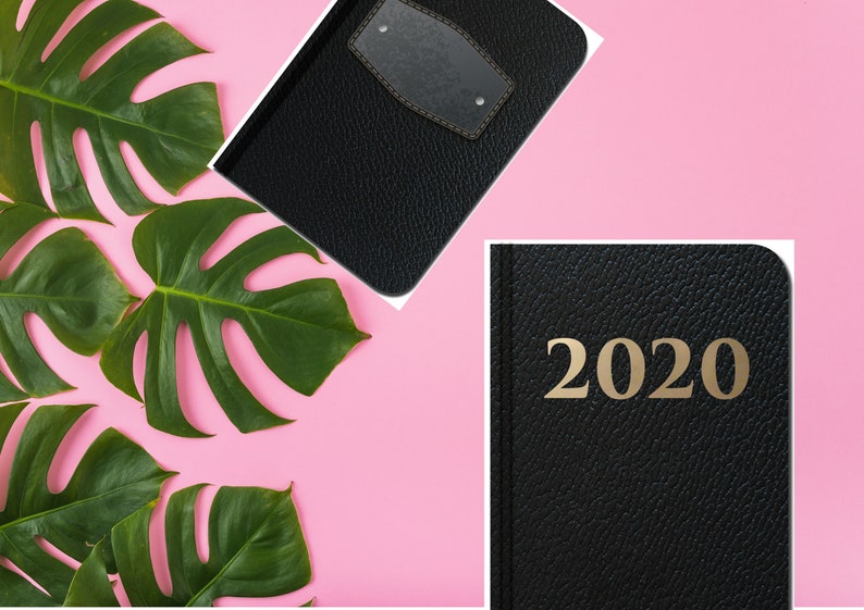 Puede incluir: Diario de cuero negro encuadernado con una inscripci&oacute;n dorada 2020. El diario est&aacute; rodeado de hojas verdes de monstera sobre un fondo rosa.