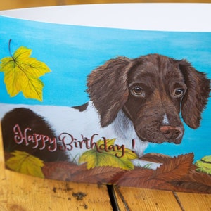 Springer Spaniel Happy Birthday Karte