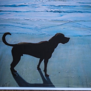 Hund am Strand Grußkarte