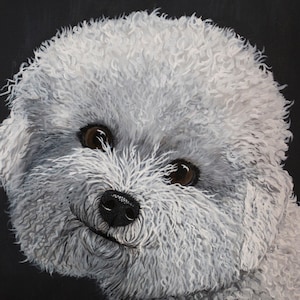 Bichon Frise Karte