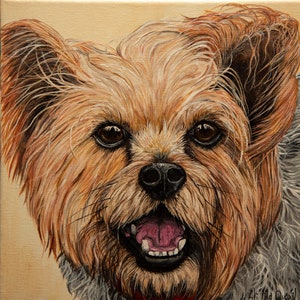 Yorkie Grußkarte