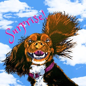 Schokoladenbraune Cocker Spaniel Surprise Geburtstagskarte