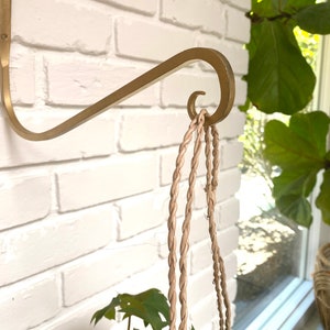 Hand forged iron wall plant arched hanger Hook - Available in Black or Gold