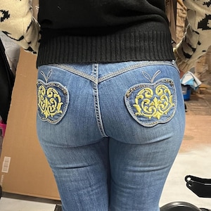 Vintage Apple Bottoms Low Rise Jeans: Y2K Stretch Denim