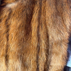 May include: Close-up of a luxurious, textured fur in shades of brown and gold. The fur appears soft and dense, with individual strands visible. The overall effect is rich and warm, suggesting a high-end garment or accessory.
