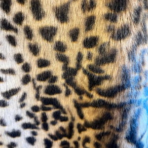 K&ouml;nnte beinhalten: Eine Nahaufnahme eines strukturierten Stoffes mit einem sich wiederholenden Leopardenmuster. Das Design besteht aus unregelm&auml;&szlig;igen schwarzen Flecken und Bereichen auf einem Hintergrund aus fellartigen Fasern in Goldbraun und Hellbraun.