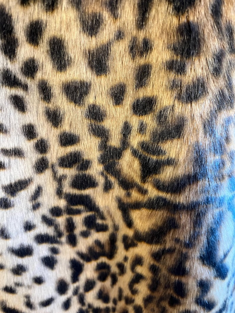 K&ouml;nnte beinhalten: Eine Nahaufnahme eines strukturierten Stoffes mit einem sich wiederholenden Leopardenmuster. Das Design besteht aus unregelm&auml;&szlig;igen schwarzen Flecken und Bereichen auf einem Hintergrund aus fellartigen Fasern in Goldbraun und Hellbraun.