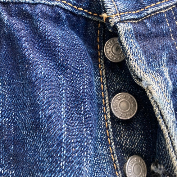 TFH The Flat Head Company Japanese Flathead Company b… Gem