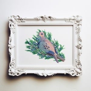 May include: A watercolor painting of a mourning dove perched on a branch of juniper berries. The dove is depicted in shades of blue, gray, and pink, with a delicate, detailed design. The juniper berries are a vibrant purple.