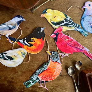 Song Birds illustrated paper garland - Bird watcher gift - bird banner of cardinal, chickadee, oriole, goldfinch, robin, and mourning dove