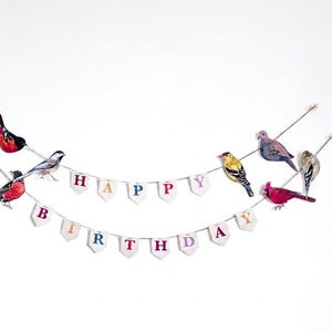 May include: A whimsical birthday banner with colorful bird decorations. The banner features two strings of pennants spelling "HAPPY BIRTHDAY". Various bird illustrations in red, yellow, gray, and purple are attached to the strings.