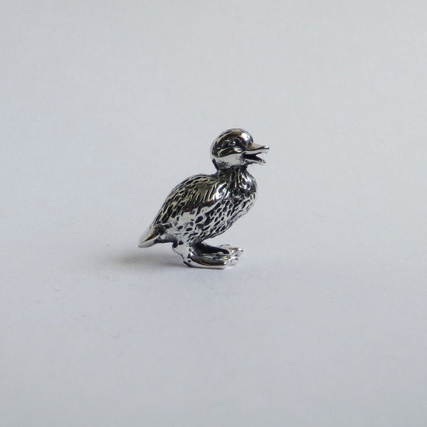 Tiny silver duckling
