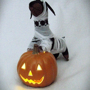 Felt Dachshund Black Tan Who&#39;s Your Mummy Halloween Pumpkin lighted table decor