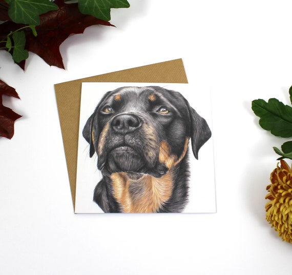 Dog Card Bundle , Greeting Card, Cards, Birthday Card, Wildlife Art, Labrador