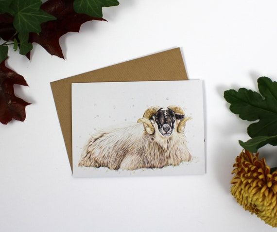Artisan Christmas Card Bundle 2, Greeting Card, Cards, Birthday Card, Wildlife Art, Owl, Donkey