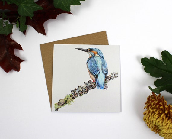 Kingfisher Greeting Card, Greeting Card, Cards, Birthday Card, Wildlife Art, Bird