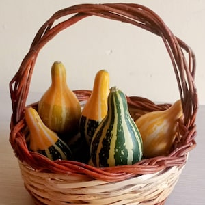 May include: A wicker basket containing a selection of decorative gourds. The gourds are in shades of yellow, orange, and green, some with striped patterns. The basket has a brown handle and a light-coloured woven base.