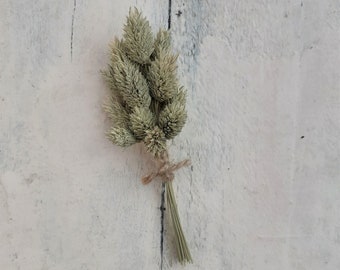 Dried Flower Phalaris Buttonhole Sole, boutonniere, grooms buttonhole, flower corsage, wedding flowers