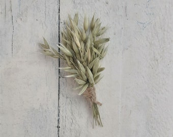 Dried Flower Oats Buttonhole Sole, boutonniere, grooms buttonhole, flower corsage, wedding flowers