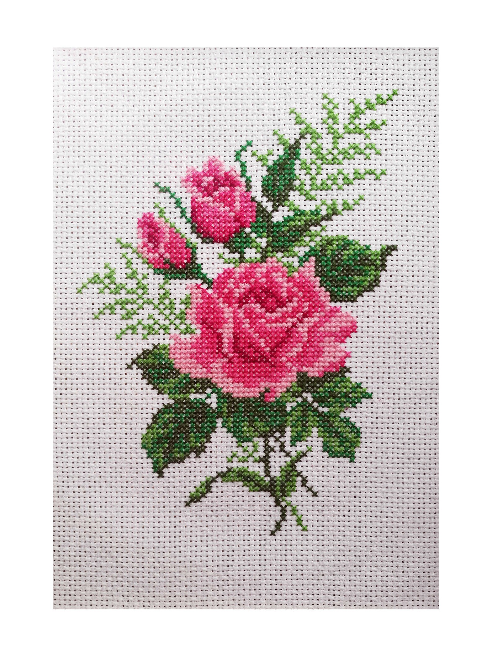 Roses. Cross Stitch Kit for Beginners. 14 Count Aida. DMC. Etsy