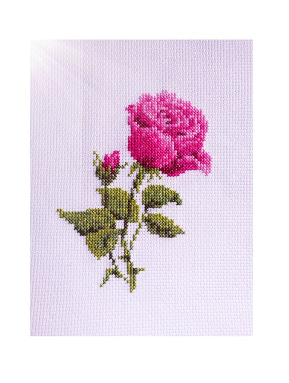 Rose. Cross Stitch Kit for Beginners. 14 Count Aida. DMC. &9728 