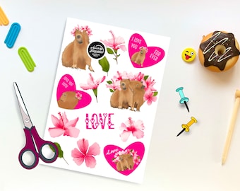 Love Capybara's Journaling stickers/Hibiscus flowers/Valentines/ Journaling / Scrapbook