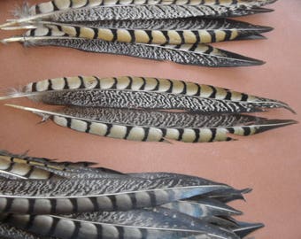 2plumes; natural elegance, good quality