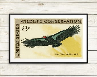 California Condor, Condor art, conservationist gift, Condor posters, Wildlife art, Conservation poster, postage stamp set, poster sets