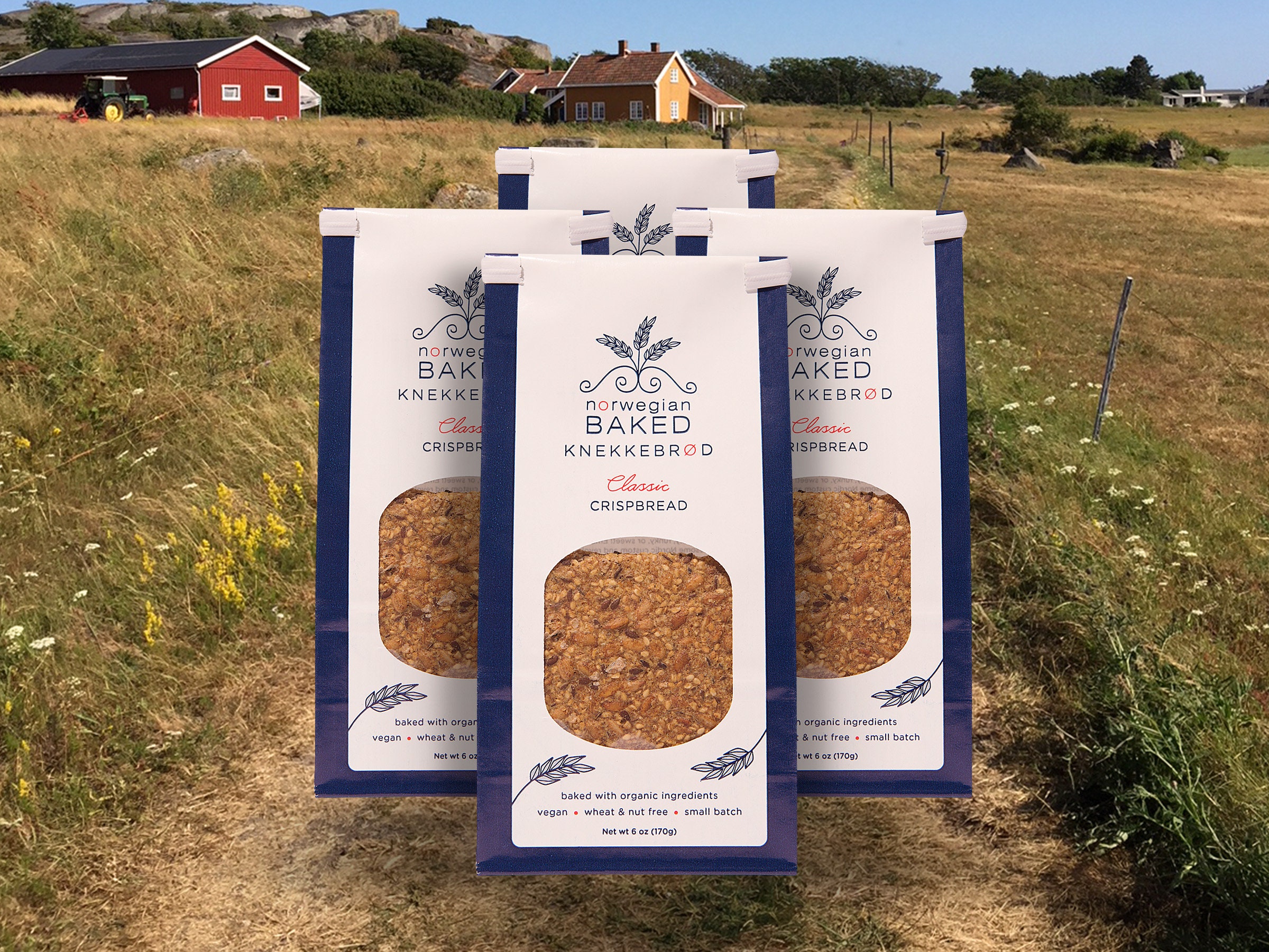 Norwegian Gift Ideas • Healthy Homemade Crispbread • Scandinavian Viking Snack Crackers • Holiday Hostess Client Work Present