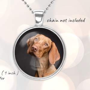 Dog memorabilia jewelry top
