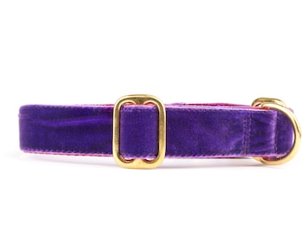 Luxury PURPLE VELVET Dog Collar | Greyhound Collar| Whippet  | Dog Tag Collar | | 1 inch velvet tag collar Lurcher Saluki Borzoi Labrador