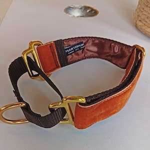 Puede incluir: Un collar de perro de terciopelo marrón con una correa de nylon negra y herrajes de metal dorado. El collar tiene el texto "MARTHOUN" impreso en el interior.