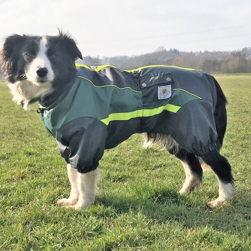 dog clothes with legs