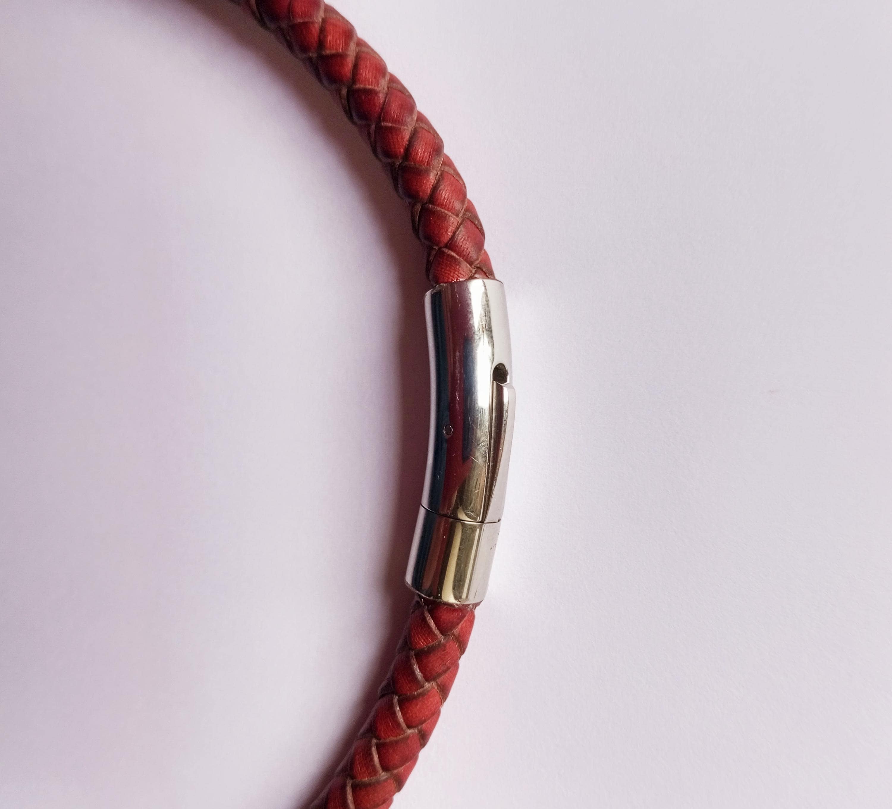 House / Tag Collar with fastener for easy fitting! Braided Bolo Leather for Sighthound Spaniel Retriever Most dogs/breeds !  Cool colours.
