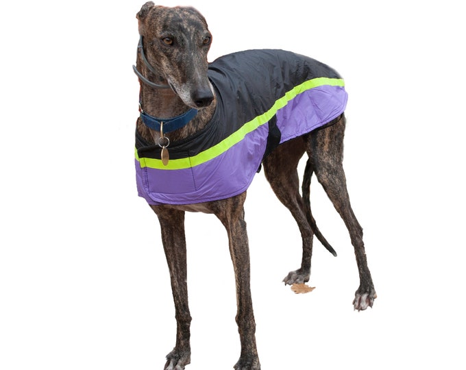 Waterproof, Lightweight, Fleece lined. Warm, Reflective, 6 sizes . All Breeds. Toy to Giant dogs!   with FREE MICROFIBRE TOWEL !