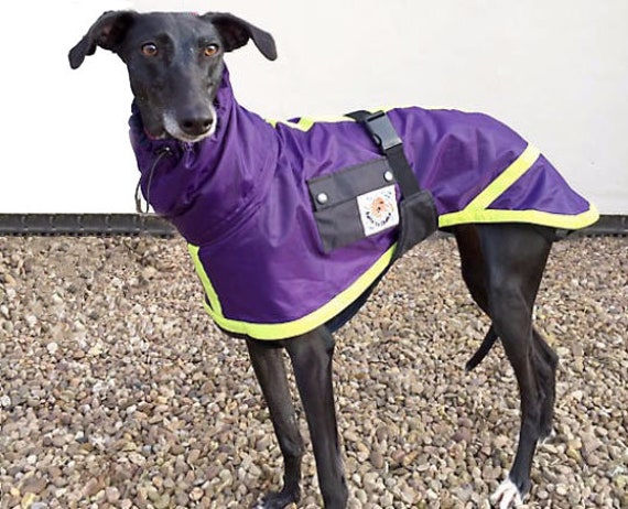 Lurcher raincoat cheap uk