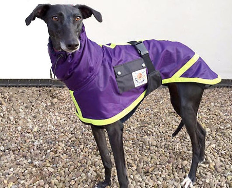 Waterproof GREYHOUND Coat WHIPPET LURCHER Sighthound Etsy UK