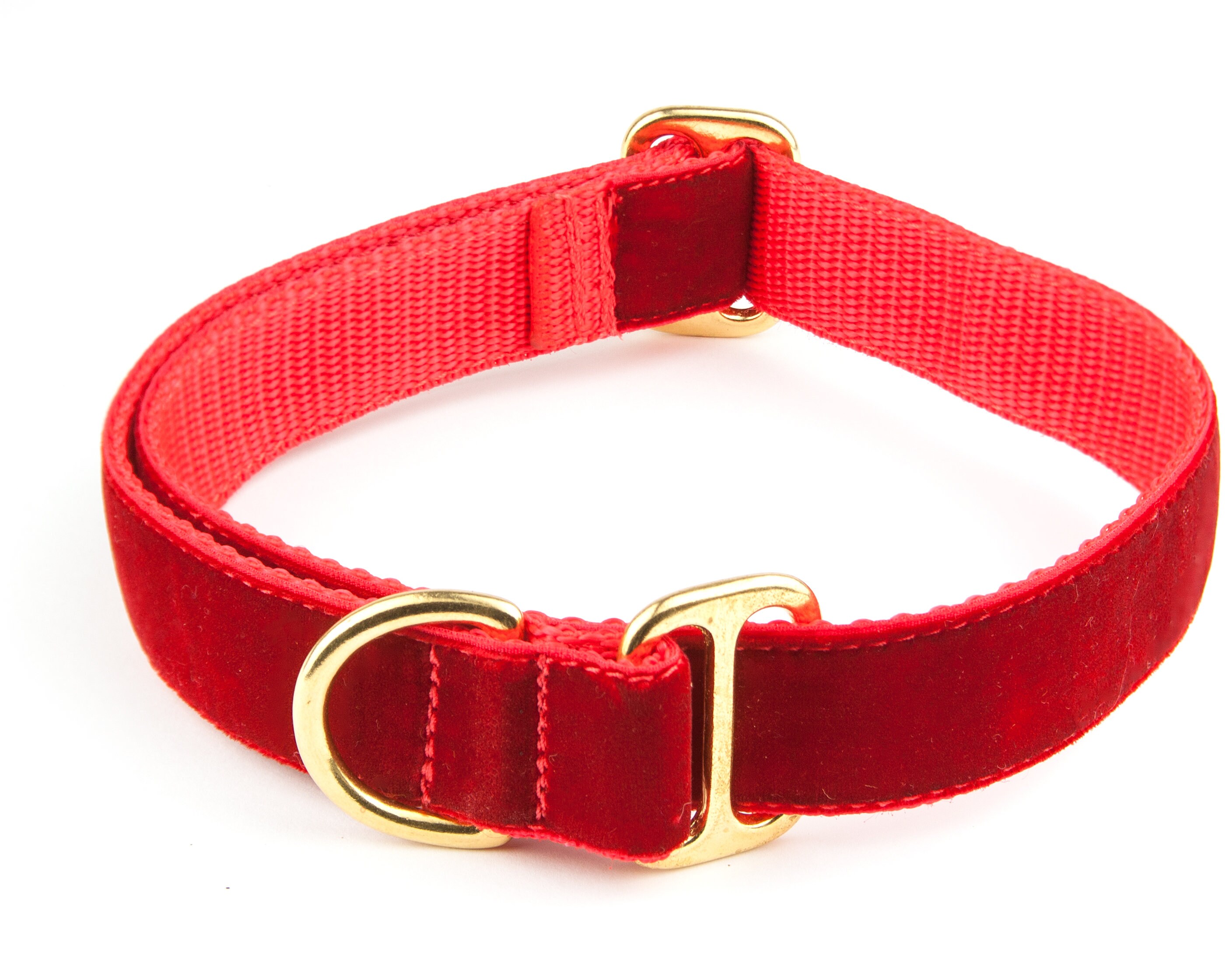 Luxury RED VELVET Dog Collar Greyhound Tag Collar Whippet Etsy