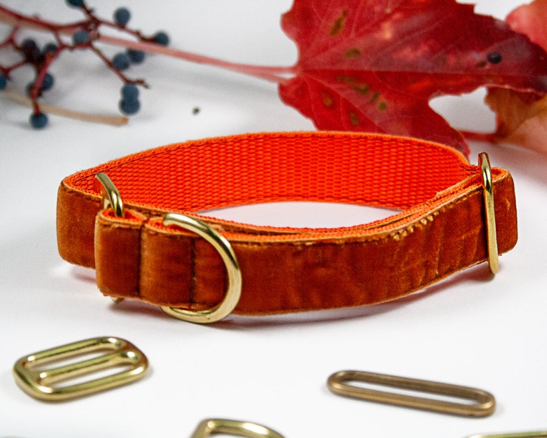 1 inch Old Gold Velvet Adjustable All Breeds Velvet Dog Collar Greyhound Sighthounds
