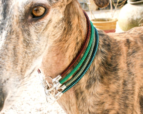 Sighthound house collar cheap
