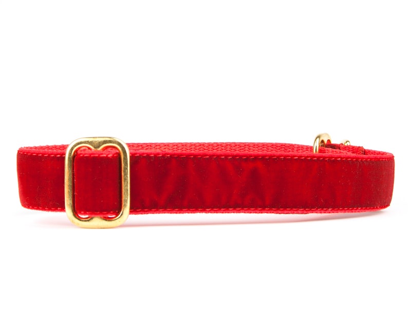 red velvet dog collar