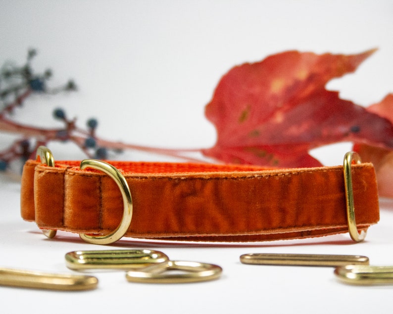 1 inch Old Gold Velvet Adjustable All Breeds Velvet Dog Collar Greyhound Sighthounds