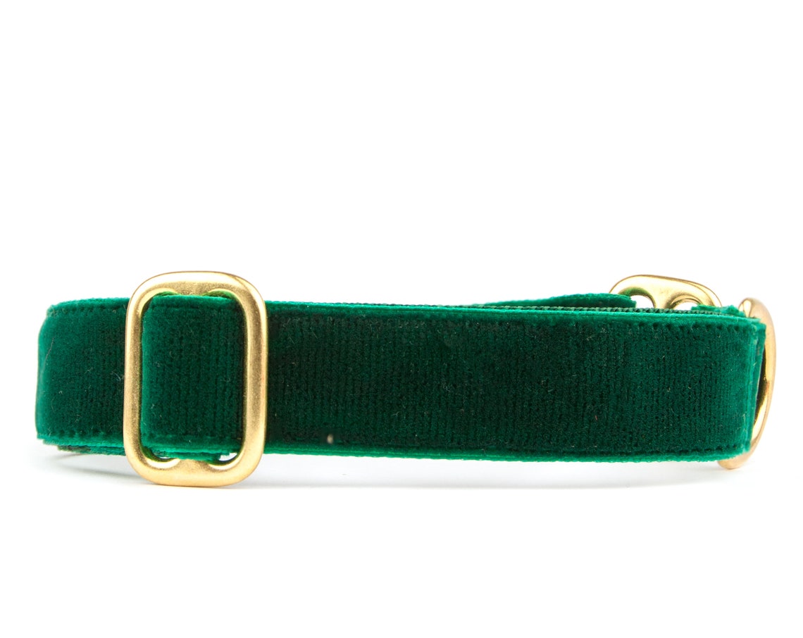 Luxury GREEN VELVET Dog Collar Greyhound Tag Collar Whippet Etsy