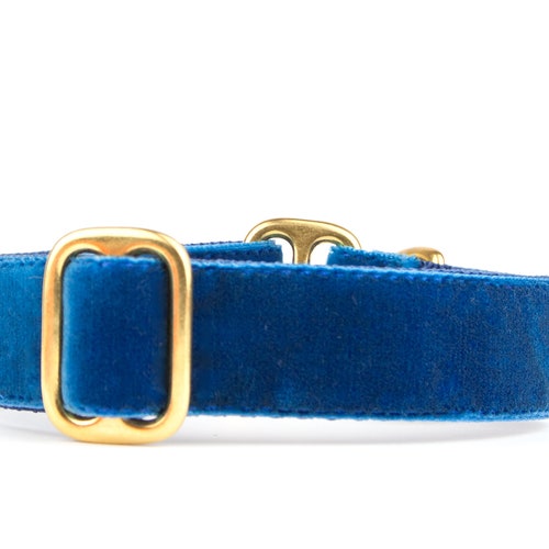 Luxury GREEN VELVET Dog Collar Greyhound Tag Collar Whippet Etsy UK