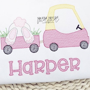 Bunny Booty in Cozy Coup Embroidery T-shirt/Bubble/Romper