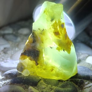 Op de afbeelding: Een doorschijnende, onregelmatig gevormde edelsteen met een levendige geelgroene tint. De steen heeft donkerbruine en zwarte insluitsels en ligt op een bed van zand en kleine stenen. Het licht schijnt door de steen en benadrukt de unieke textuur.