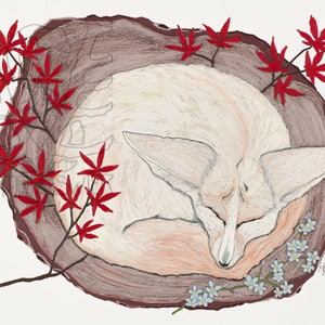 Desert Fox on Mango Wood