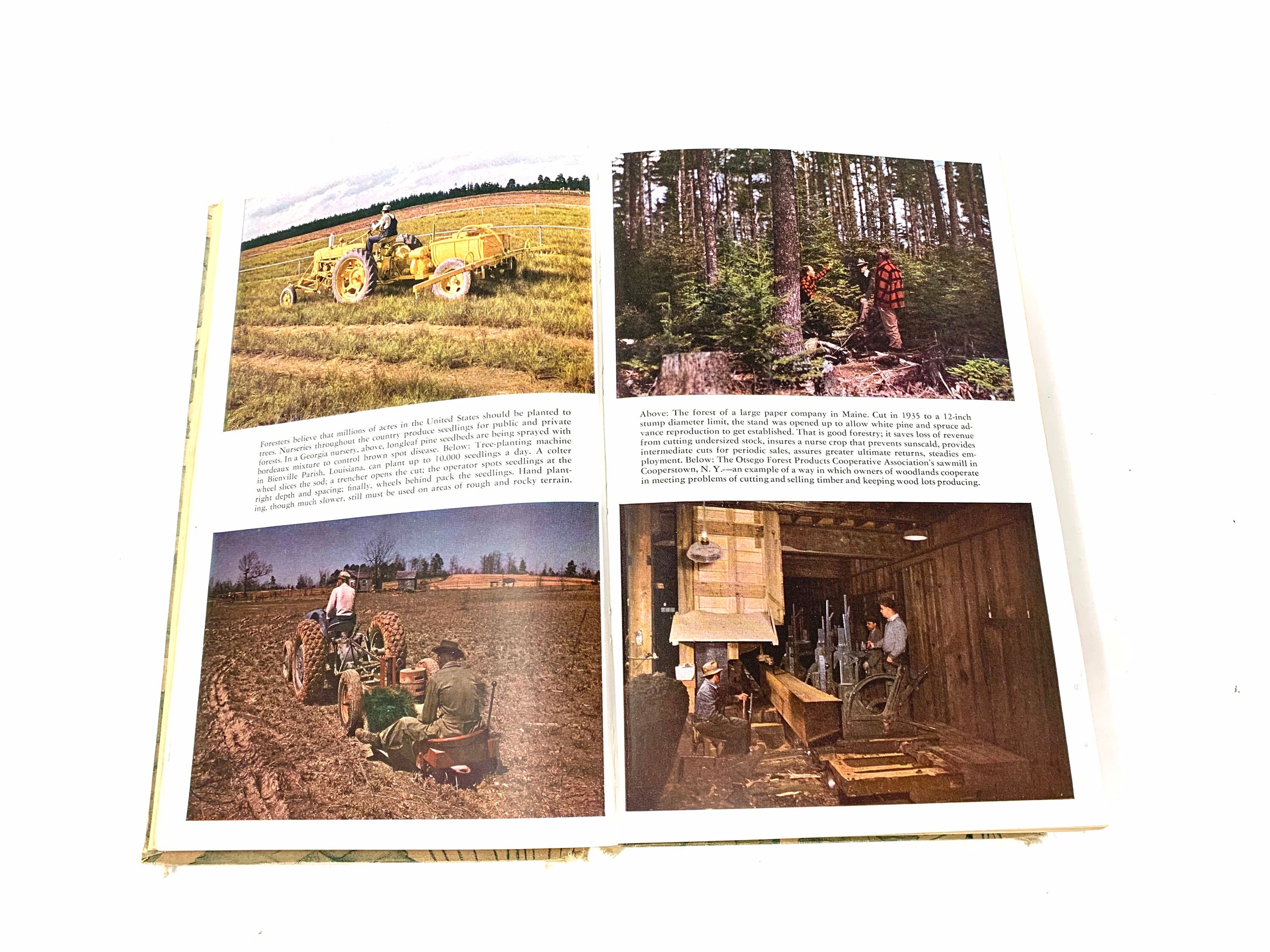 TreesThe Yearbook of Agriculture1949CollectibleGood ConditionFree