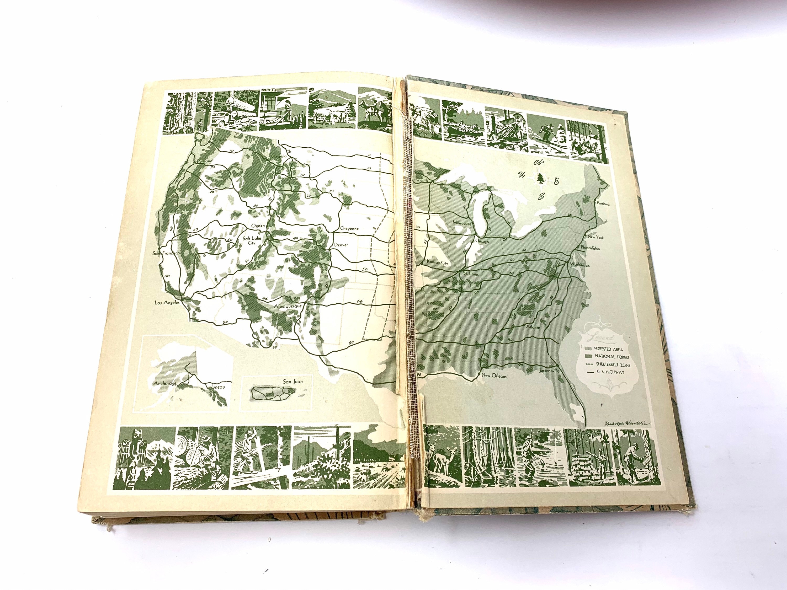 TreesThe Yearbook of Agriculture1949CollectibleGood ConditionFree