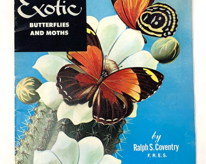 How to Paint Exotic Butterflies and Moths~Ralph S. Coventry~Walter Foster~1986~Free Shipping